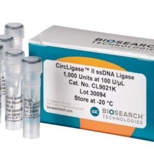 CircLigase™ II ssDNA Ligase