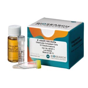 E. cloni® 10G Chemically Competent Cells