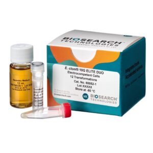 E. cloni® 10G ELITE Electrocompetent Cells DUOs