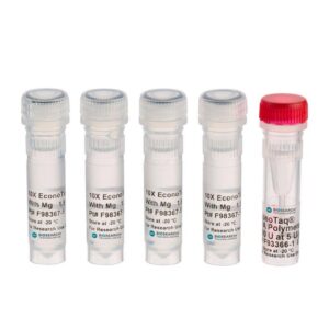 EconoTaq® DNA Polymerase (separate Mg++)