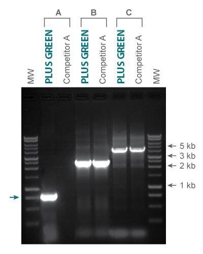EconoTaq-EconoTaq-PLUS-GREEN-vs-GoTaq