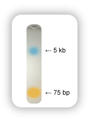 EconoTaq-econotaq-plus-tracking-dye