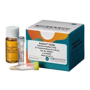 Endura™ Competent Cells DUOs