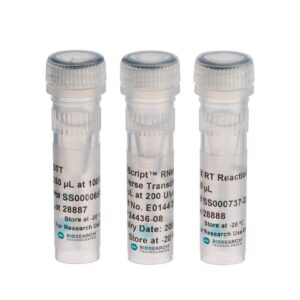 EpiScript™ Reverse Transcriptase