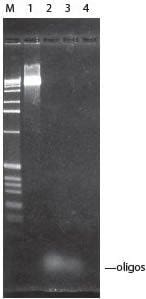 Epicentre-g_baselinezero_dnasetreatment