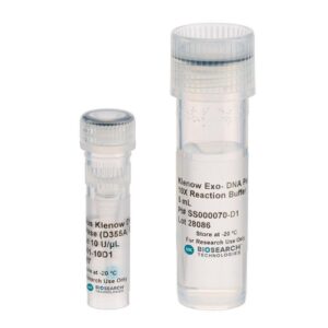 Exo-Minus Klenow DNA Polymerase (D355A, E357A)