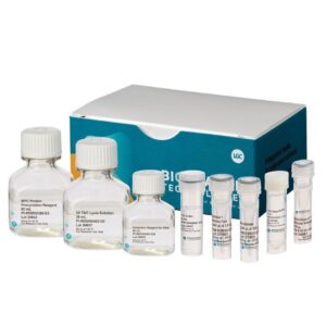 MasterPure™ Yeast RNA Purification Kit