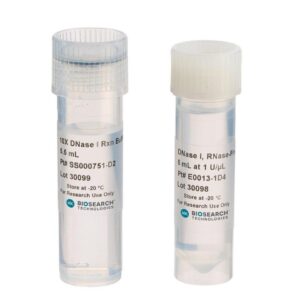RNase-Free DNase I