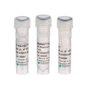 T7 R&DNA™ Polymerase