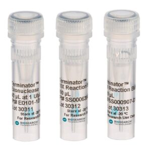 Terminator™ 5´-Phosphate-Dependent Exonuclease