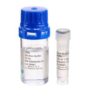 Uracil N-Glycosylase (UNG)