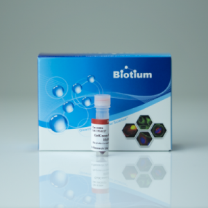GelGreen® Nucleic Acid Gel Stain