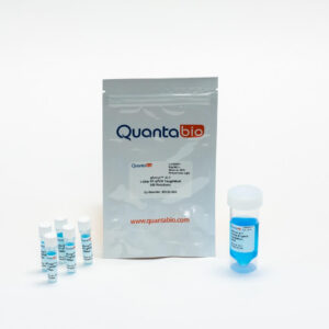 qScript XLT 1-Step RT-qPCR ToughMix