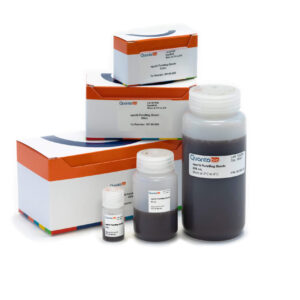sparQ Pure Mag Beads