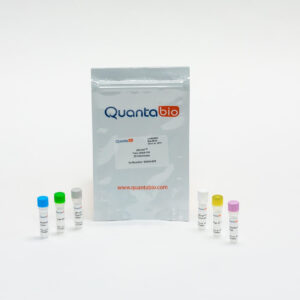 qScript Flex cDNA Kit