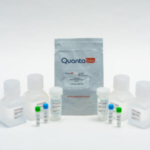 Extracta DNA Prep for PCR