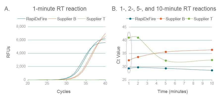 cDNA synthesis time course studies