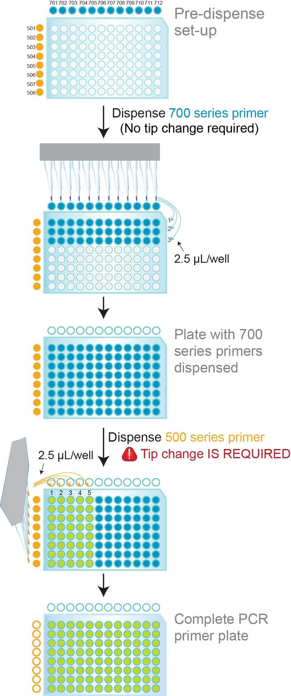 96-well PCR plate NxSeq HT Dual Indexing Kit primer dispensing protocol