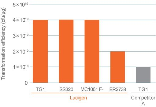 Transformation efficiency