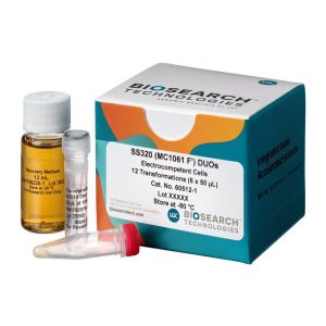 SS320 (MC1061 F') Electrocompetent Cells