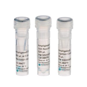 Ampligase Thermostable DNA Ligase
