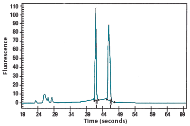 Epicentre-c_masterpureyeast_rnapurity