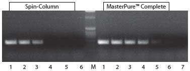 Epicentre-g_masterpure_pcrsensitivity