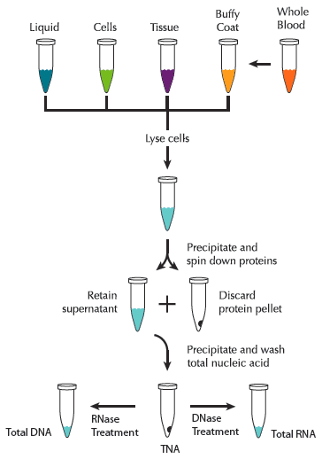 Epicentre-i_masterpure_completekit