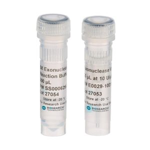 Exonuclease VII