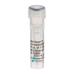 Hybridase Thermostable RNase H