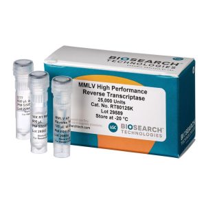 MMLV High Performance Reverse Transcriptase Kit