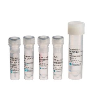MasterAmp Tth DNA Polymerase