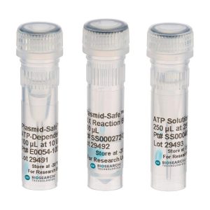 Plasmid-Safe ATP-Dependent DNase