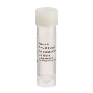 RNase A