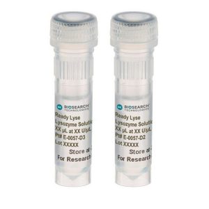Ready-Lyse Lysozyme Solution