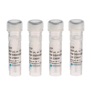 Ribonucleoside-5'-Triphosphate Solutions