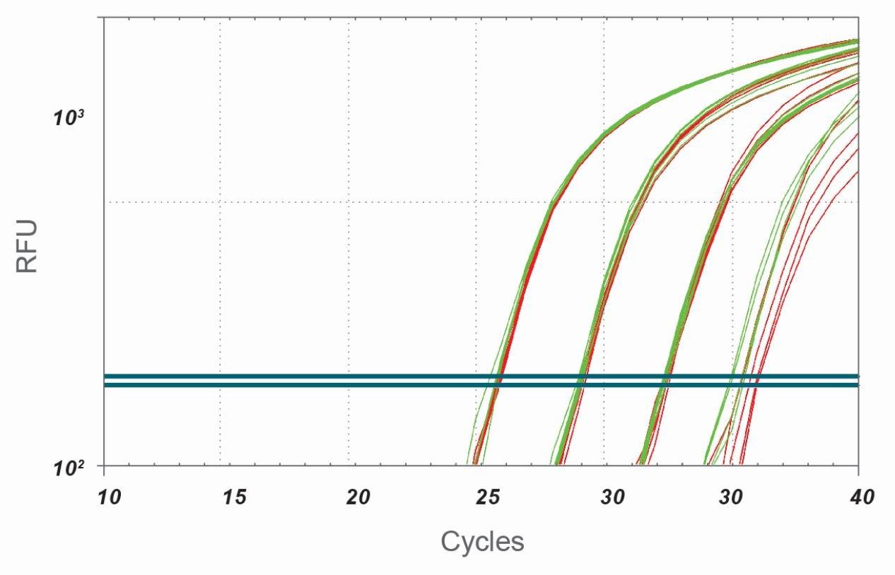 polymerase-activation-time