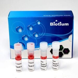 Viability/Cytotoxicity Assay Kit for Animal Live & Dead Cells