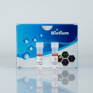 EvaEZ™ Fluorometric Polymerase Activity Assay Kit