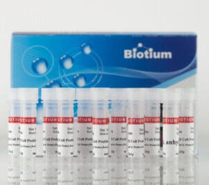 ViaFluor® SE Cell Proliferation Kits