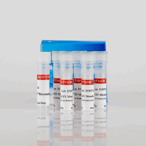 ExoBrite™ CTB EV Staining Kits