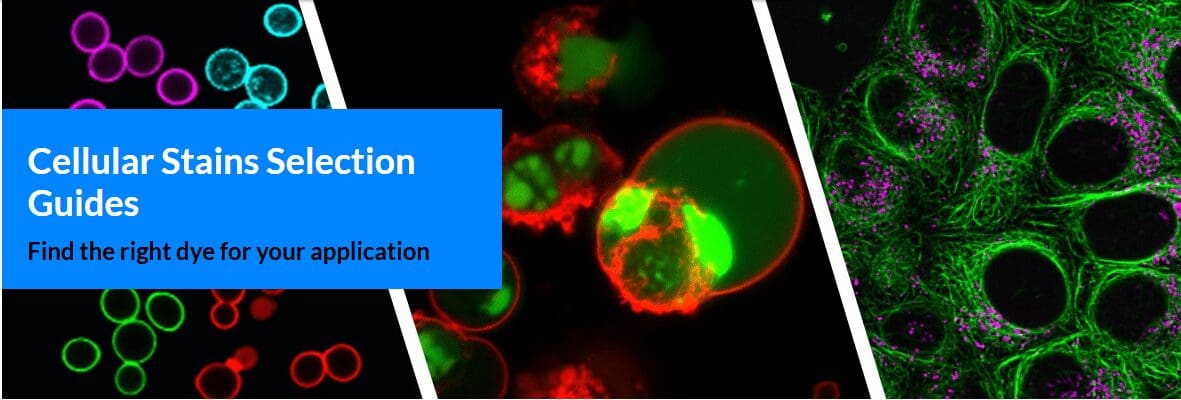 Cellular_stains_selection_guides