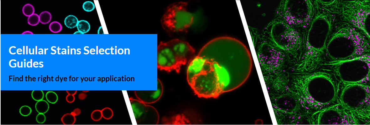 Cellular_stains_selection_guides