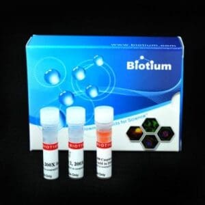 NucView® 488 & RedDot™ 2 Apoptosis & Necrosis Kit