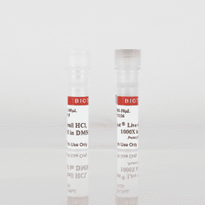 NucSpot® Live Cell Nuclear Stains