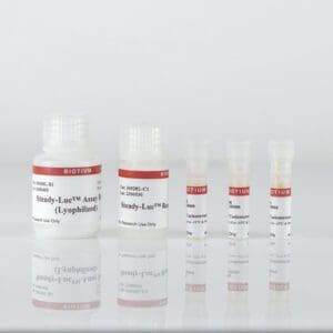Steady-Luc™ Firefly HTS Assay Kit (Lyophilized)