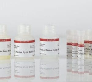 Firefly & Renilla Luciferase Single Tube Assay Kit