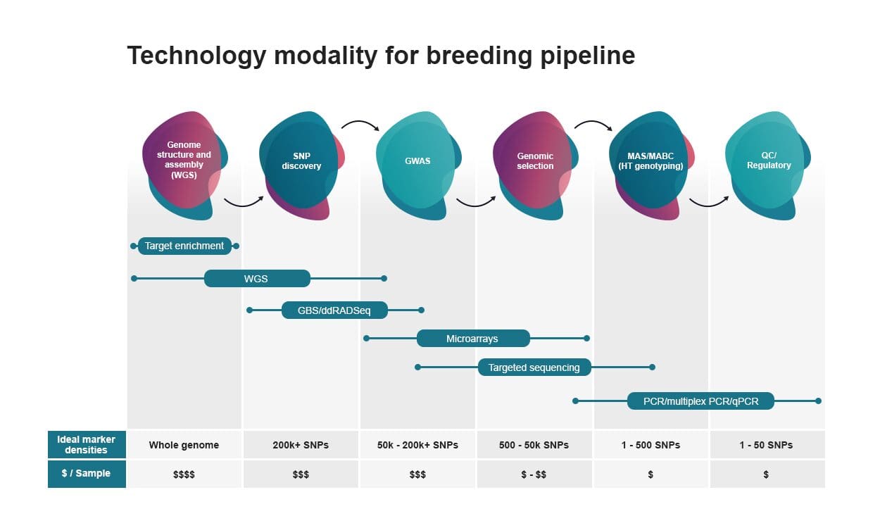 ngs-microarray-and-PCR-technology-modality-breeding-pipeline