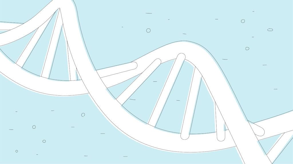 D-Helix