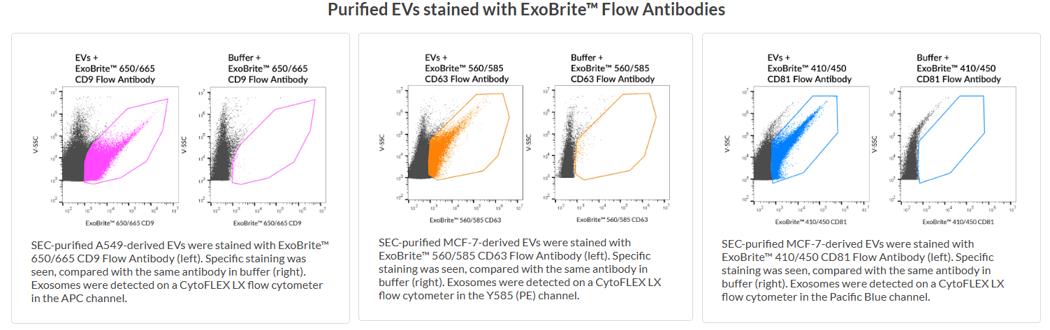 PurifiedEVs_stained_with_ExoBrite_Flow_Antibodies